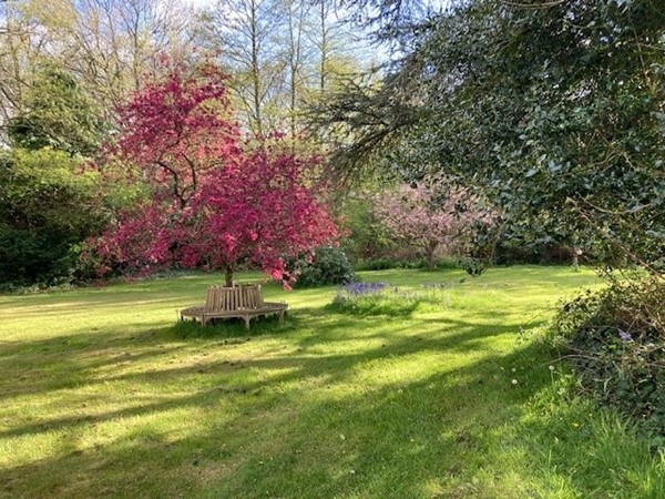 Medium property photo - Voorweg 13, 1871 CK Schoorl